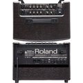 Roland AC-33-RW AC33 自彈自唱 木吉他音箱 30瓦 可裝電池