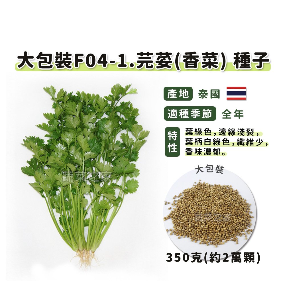 【蔬菜之家00F04-1】大包裝.芫荽(香菜)種子350克(約2萬顆) 種子 園藝 園藝用品 園藝資材 園藝盆栽 園藝裝飾