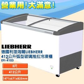 德國利勃 海爾 LIEBHERR 412公升 弧型玻璃推拉冷凍櫃 EFI-4103 ★24期0利率★ 指針式溫度計