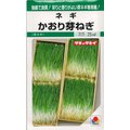【蔬菜種子S218】芽蔥~ 高級日本料理常用，特殊香味，普遍使用在湯類及壽司！