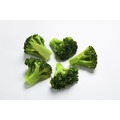 CB0102 冷凍綠花椰菜 (一般型) M size /青花菜