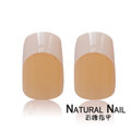 Natural nail 彩繪美甲貼 H110