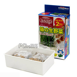 ☆日本CattyMan．貓生野菜，自己種貓草二回份盒裝，附培養土，簡單又健康，自己動手種最天然