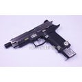 【Hunter】全新WE(偉益) PV 惡靈古堡 P-Vruses SIG P226雙色版瓦斯BB槍