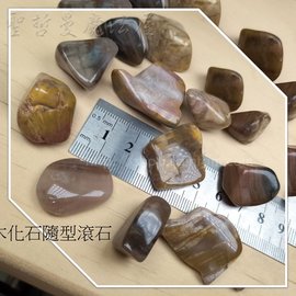 木化石隨型滾石(Petrified Wood) - PChome 商店街