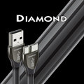 AUDIOQUEST - DIAMOND B-type USB數位傳輸線 0.75米 (參考級) 72V DBS