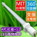 LED植物燈管(免燈具,可調角度)4尺(4呎)｜紅:藍=8:16｜*植物栽培燈 植物生長燈 植物燈 T8燈管 補光燈