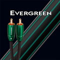 視紀音響 美國 AudioQuest 長青 evergreen 長結晶銅導 LGC RCA-RCA 訊號線 1.5米 鍍金頭