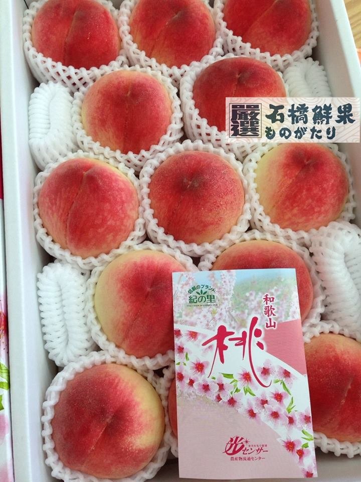 石橋鮮果 和歌山水蜜桃 13顆裝 水果禮盒 Pchome商店街 台灣no 1 網路開店平台 石橋鮮果 和歌山水蜜桃 13顆裝 水果禮盒 Pchome商店街 台灣no 1 網路開店平台