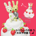 [日潮夯店] 日本正版進口 Le sucre 法國兔 砂糖兔 結婚 蛋糕 音樂盒 未来予想図2 共兩款