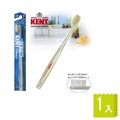 池本刷子IKEMOTO-KENT 豚毛3列機能牙刷-21穴(KNT-0333)