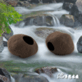 【 ac 草影】短鯛專用仿真石頭 10 cm 【一個】造景 裝飾 魚缸