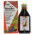 鐵元草本天然鐵劑滋補液Floradix 250ml /德國原裝植物鐵劑