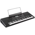 【金聲樂器】KORG PA 300 / PA-300 61鍵 電子琴 編曲鍵盤