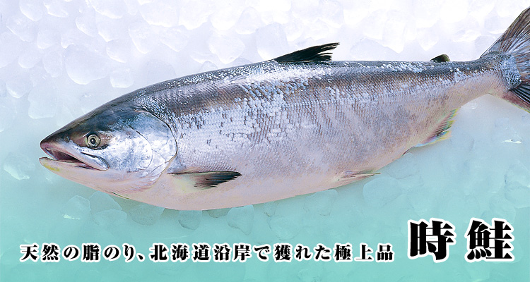 北海道釧路產 野生冰鹽熟成時鮭半身 時不知鮭 Pchome商店街 台灣no 1 網路開店平台