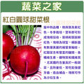 【蔬菜之家】C18.紅白圓球甜菜根種子100顆 種子 園藝 園藝用品 園藝資材 園藝盆栽 園藝裝飾