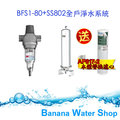 【Banana Water Shop 零利率＋到府安裝＋贈AP-817-2濾心】BFS1-80反洗式淨水+3M SS802不鏽鋼全戶式淨水系統
