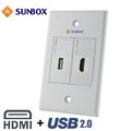 SUNBOX HDMI+USB 面板插座 (WP-HU2L)