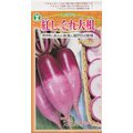 【日本進口蔬菜種子】紅時雨蘿蔔~~超美麗的雙層紫色蘿蔔，新種蘿蔔，本店立即引進！