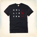 美國百分百【Hollister Co.】T恤 HCO 短袖 T-shirt 海鷗 圓領 深藍 浪板 M XL號 F358
