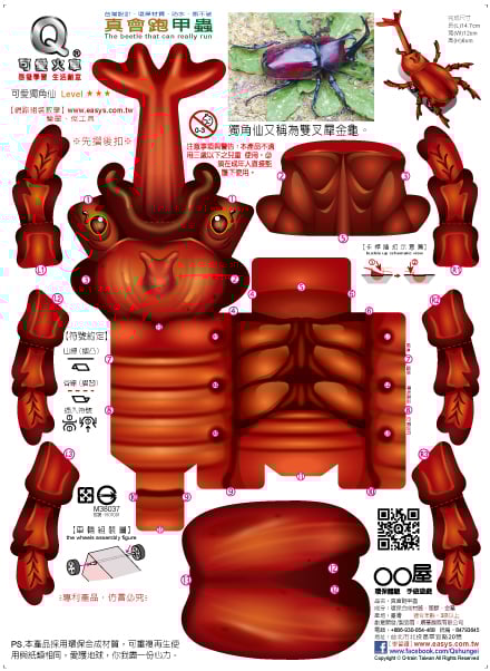 真會跑甲蟲 可愛獨角仙 Pchome商店街 台灣no 1 網路開店平台 真會跑甲蟲 可愛獨角仙 Pchome商店街 台灣no 1 網路開店平台