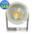 【DP Lighting 】台灣製造- 高品質 《 昶旭能源 》LED光引擎12W戶外投射燈 24度與38度 有白光與黃光可選(W21A.W31A)