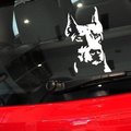 『天釉車魅』反光獵犬車貼 寵物狗獵犬用品貼紙車門貼 摩托車電動車貼