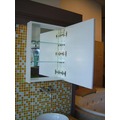 【衛浴先生】鏡櫃 白色鋼琴烤漆 J-301 (門市樣品出清價)