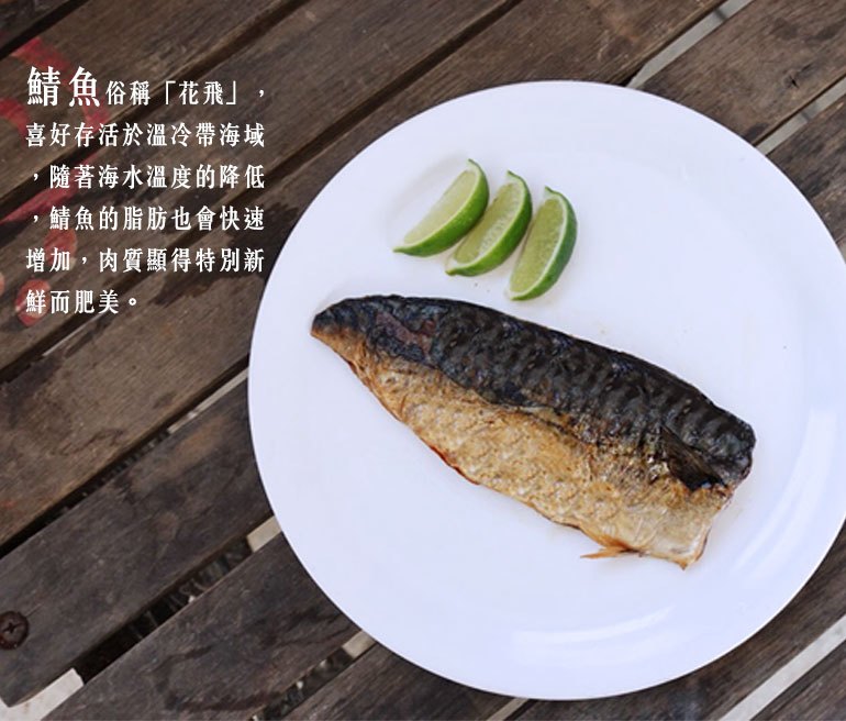 基隆區漁會 真空包裝鯖魚片 Pchome商店街 台灣no 1 網路開店平台 基隆區漁會 真空包裝鯖魚片 Pchome商店街 台灣no 1 網路開店平台