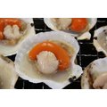 【烤肉系列】扇貝(半殼)約11-13粒/約500g