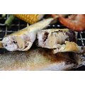【烤肉系列】香魚(母) / 約200g±5% /尾~隻隻飽滿~隻隻抱卵~