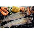 【烤肉系列】香魚(公) 1 尾/約100g±5% ~烤肉聖品~