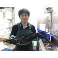 【年菜系列 】活凍鱘龍魚 每100公克/56元 (活體重5公斤以上)