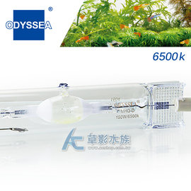 【AC草影】ODYSSEA 奧德賽 HQI金屬鹵素燈泡 6500K（150W）【一個】