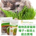 【三吉米熊】日本GreenLabo寵物燕麥貓草種子袋裝200公克+無農藥專用培養土3L組合賣場/化毛貓零食