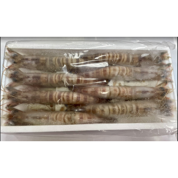 【萬象極品】斑節蝦(明蝦) 8尾/約450g 頂級海鮮食材~絕對挑動您的味蕾