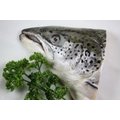 【冷凍魚類】鮭魚頭(含魚下巴)半顆 /約385g±5%