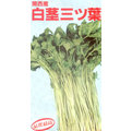 【大包裝蔬菜種子L155】白莖山芹菜，全年皆可種植，日本關西名產，特別推薦！
