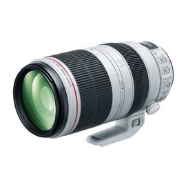 ＊華揚數位＊ Canon EF 100-400mm L II IS USM 大白兔 大白2 平輸貨