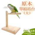 缺《寵物鳥世界》台灣製 Canary 原木單槓站台-大 (站架、棲架、棲棍、遊戲台) GS016