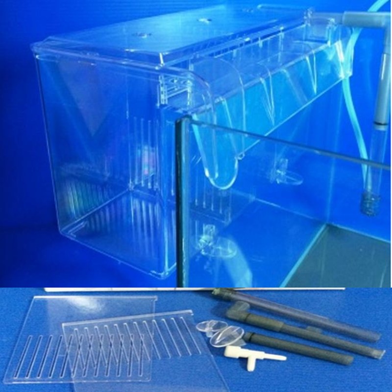 缺貨 L 外掛式飼育箱花羅漢 孔雀魚 隔離盒 鬥魚 飼育盒 產卵 小型魚 幼魚 產卵 治療 孵化 水族箱 Pchome商店街 台灣no 1 網路開店平台 缺貨 L 外掛式飼育箱花羅漢 孔雀魚 隔離盒 鬥魚 飼育盒 產卵 小型魚 幼魚 產卵 治療 孵化 水族箱 Pchome商店街 台灣no 1 網路開店平台