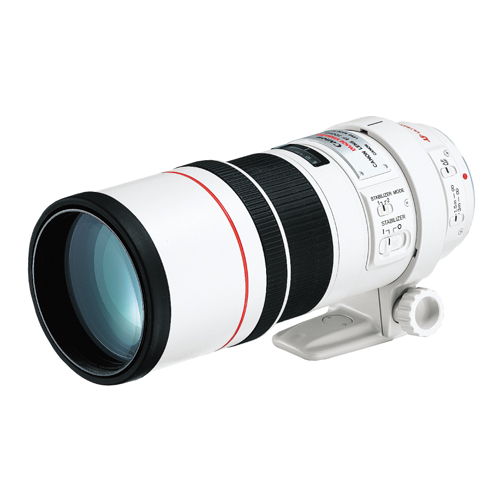 canon 300mm f4