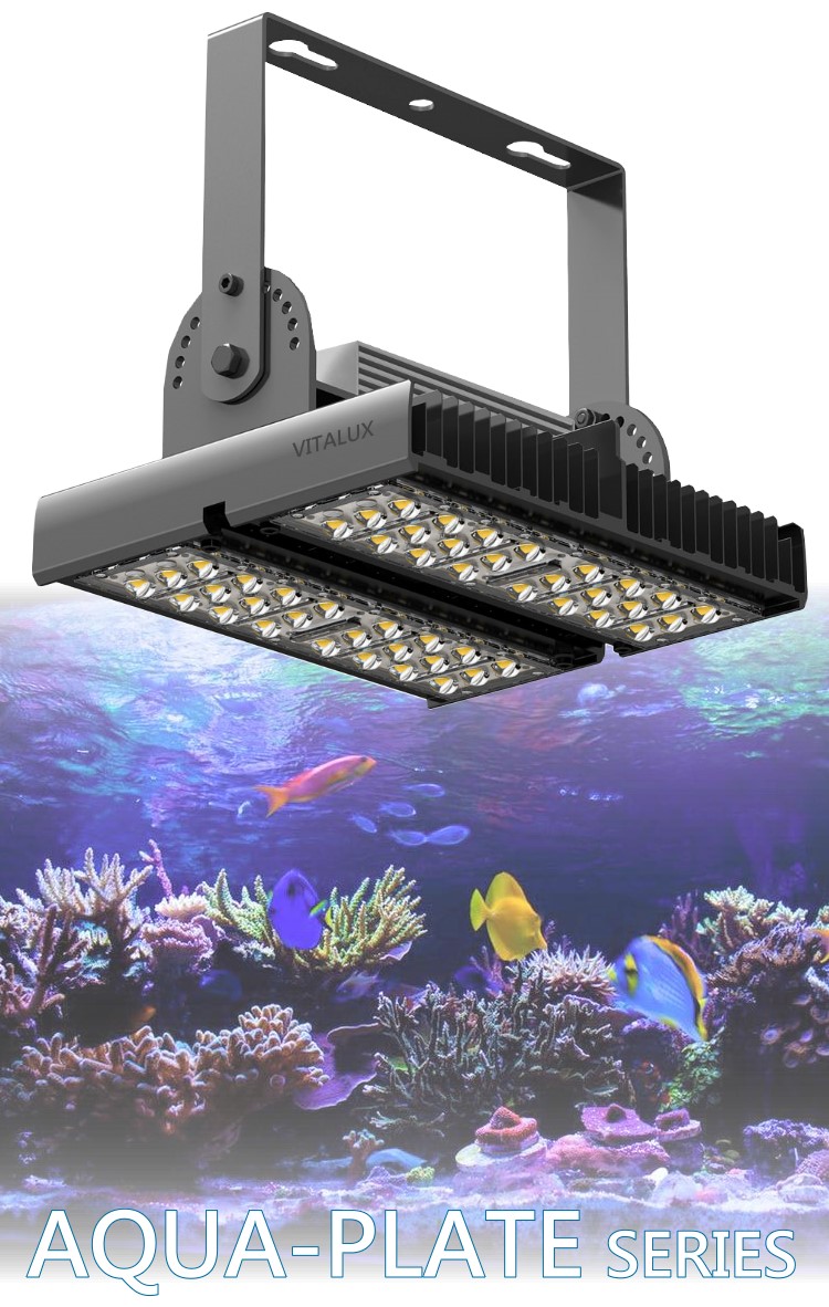 Led水草燈搭載工業級照明技術 超高亮度 複合光譜 台灣精品 台灣vitalux Led水族燈 Taiwan Led Aquarium Lighting Led水草燈搭載工業級照明技術 超高亮度 複合光譜 台灣精品 台灣vitalux Led水族燈 Taiwan Led Aquarium Lighting