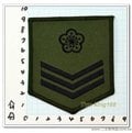 台灣軍用品★☆陸軍數位迷彩服階級臂章(上兵)(綠邊)