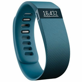 Ai Tec】Fitbit Charge 智慧體感記錄器石板藍S 現貨出清【FCSS