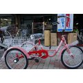 (J.J. Bike) 24吋 三輪車 GOMER 大菜籃 適用給老人家 或不方便者 台灣製