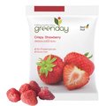 Greenday草莓凍乾25g