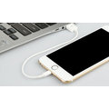 蘋果iphone5/6手機充電線平板ipad4 mini 短款 充電線/傳輸線 黑/白 短線