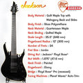 【爵士樂器】Jackson 美廠USA SIGNATURE CHRIS BRODERICK SOLOIST 7 電吉他