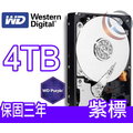 WD 威騰 43PURZ 4T 4TB 紫標 / 監控碟 / 256M 3.5吋 SATA3 內接硬碟 WD42PURZ